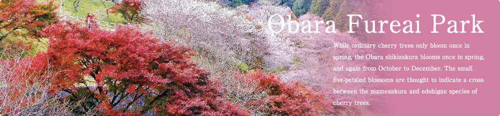 Obara Fureai Park