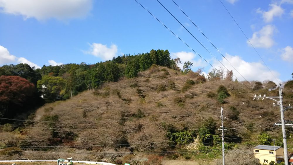 川見四季桜の里