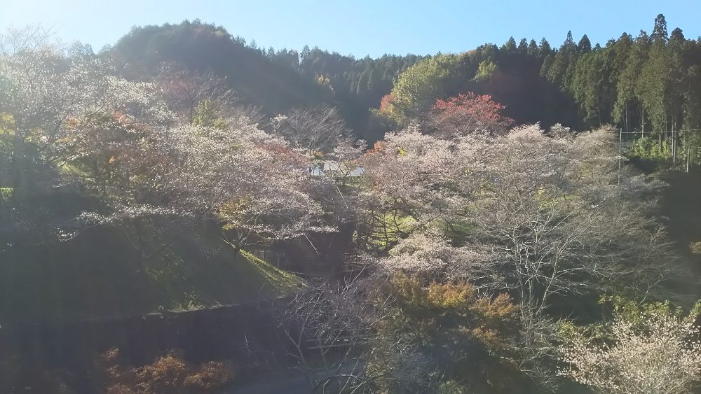 小原ふれあい公園