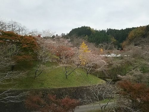 小原ふれあい公園