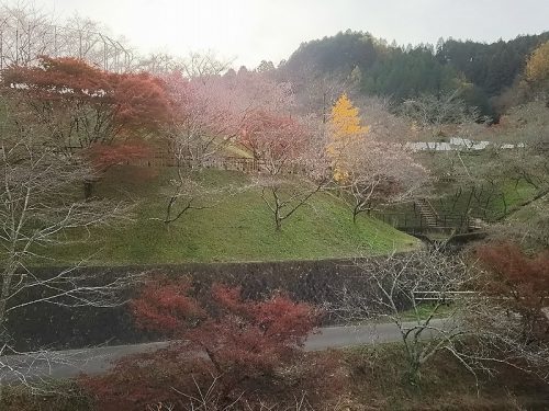 小原ふれあい公園