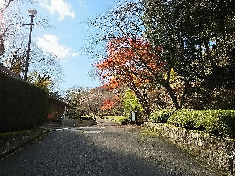 和紙のふるさと