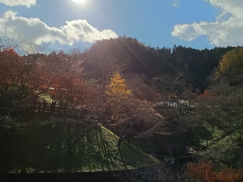 小原ふれあい公園