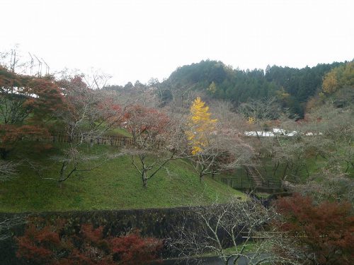 小原ふれあい公園