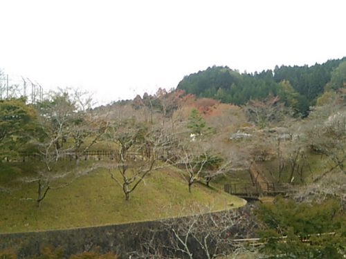 小原ふれあい公園