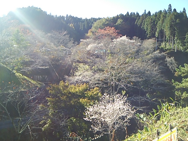 小原ふれあい公園