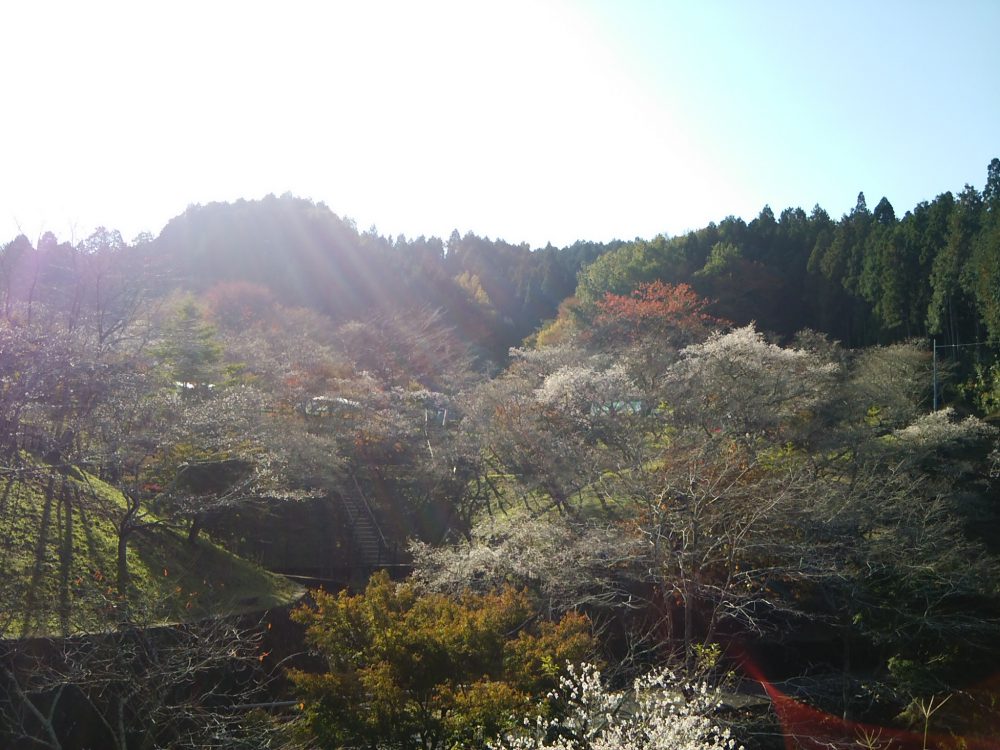 小原ふれあい公園