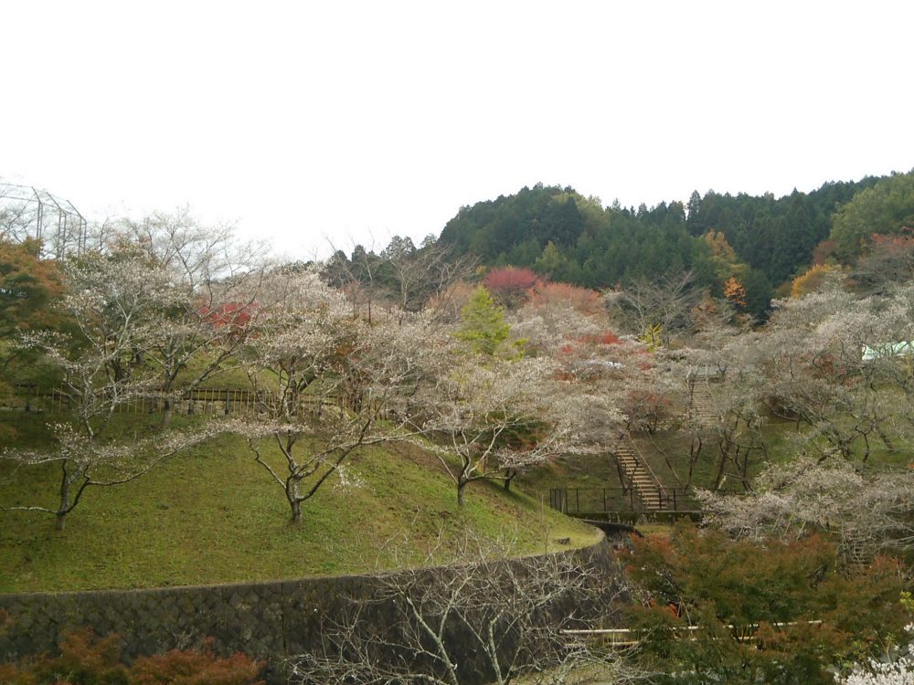 小原ふれあい公園