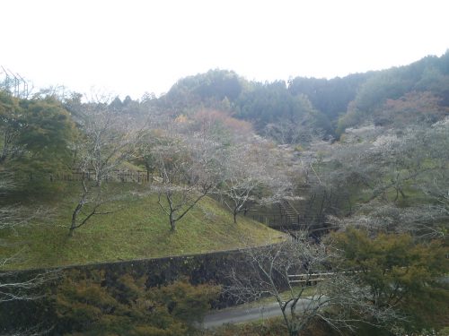 小原ふれあい公園