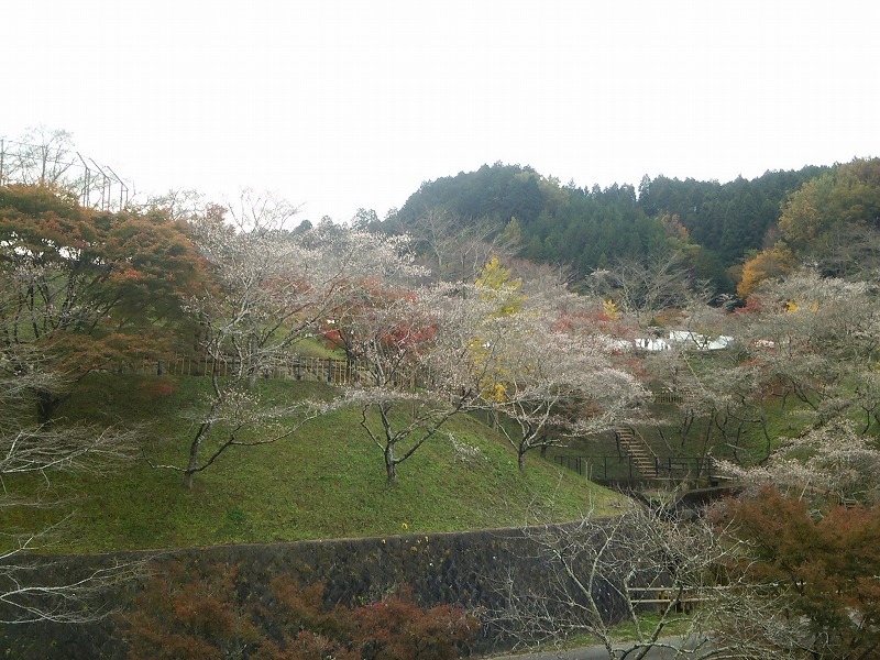 小原ふれあい公園