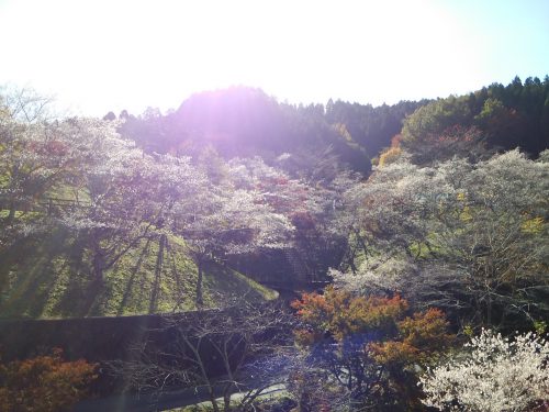 小原ふれあい公園