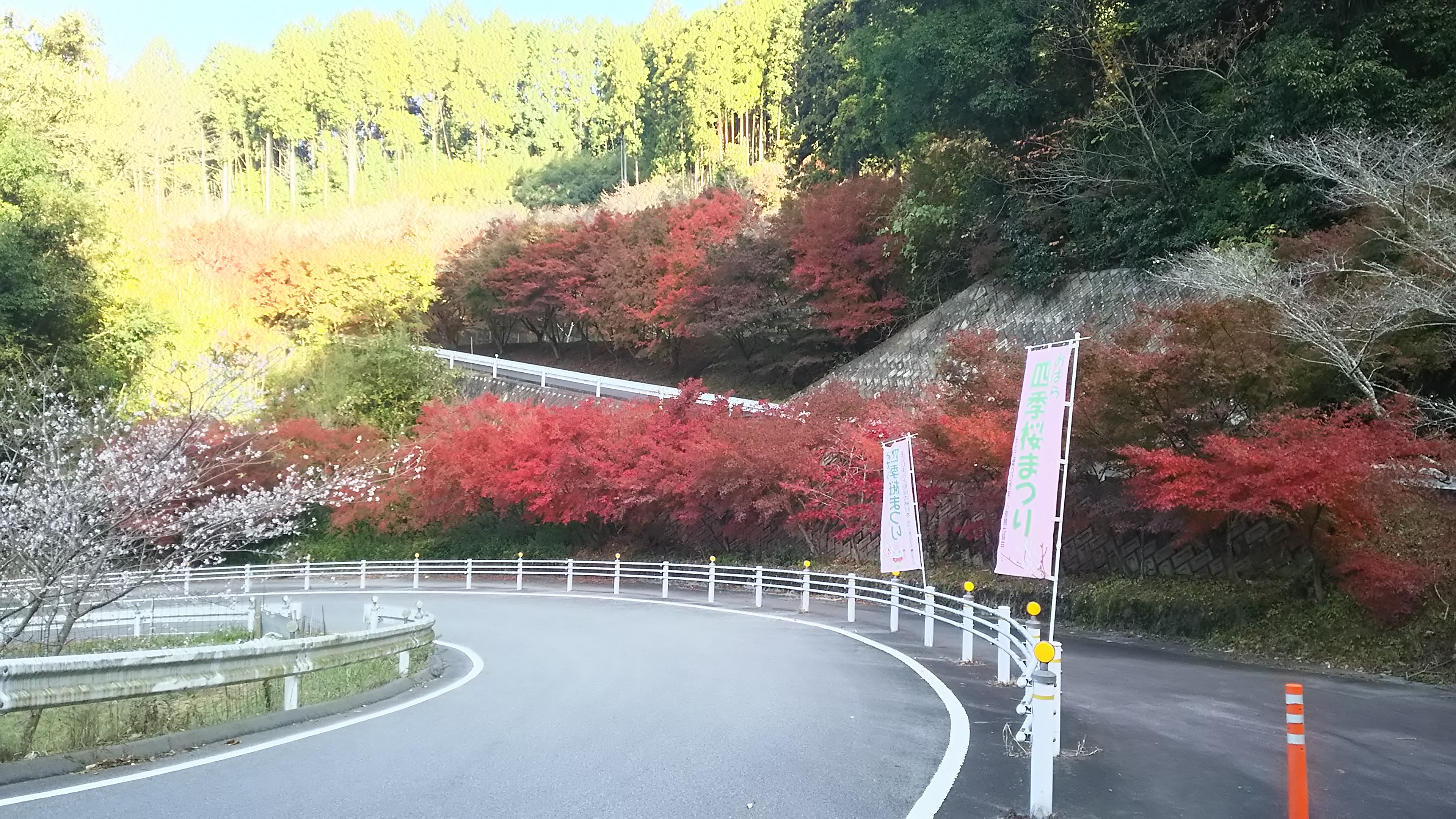 西運寺