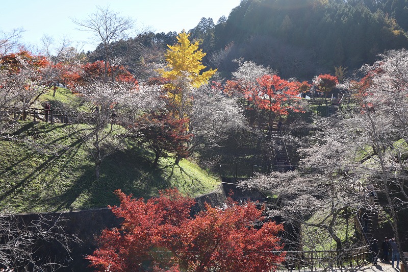 小原ふれあい公園