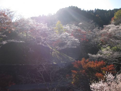 小原ふれあい公園