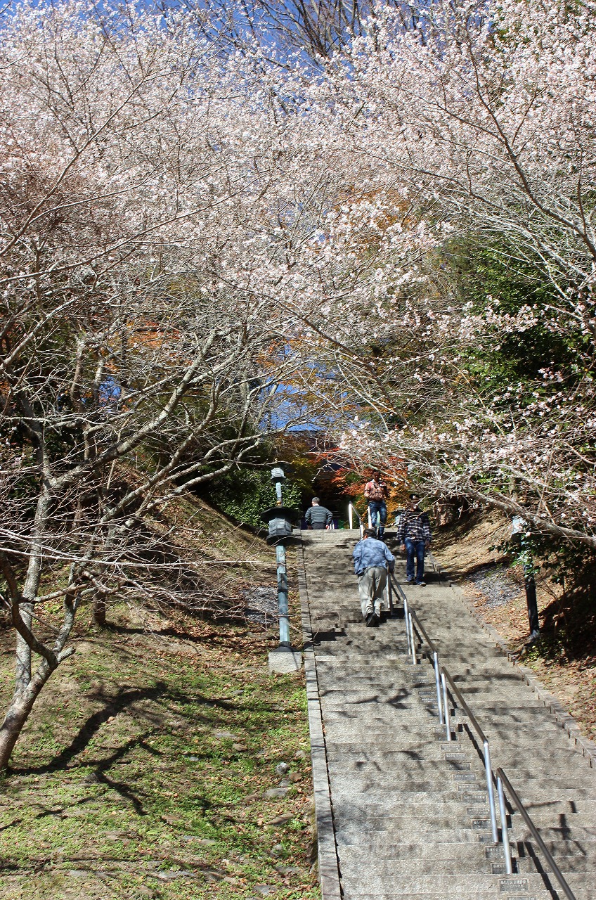 川見薬師寺