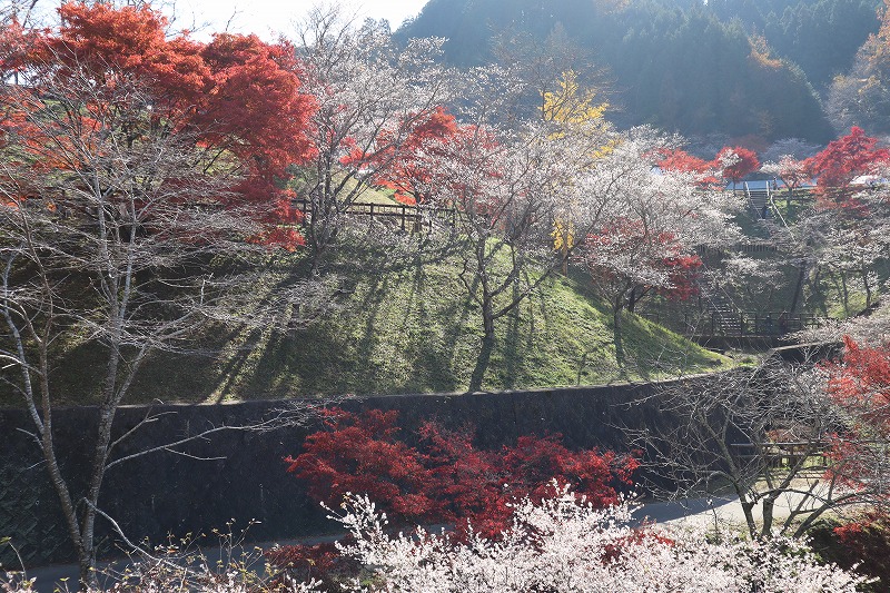 小原ふれあい公園