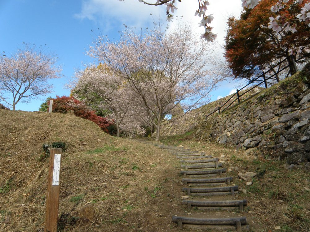 市場城址