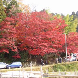 小原稲荷（松月寺）