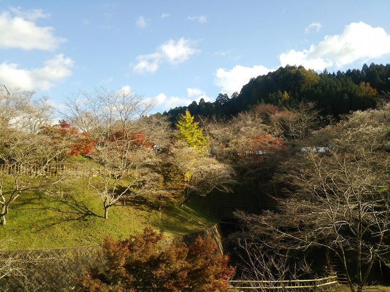 小原ふれあい公園