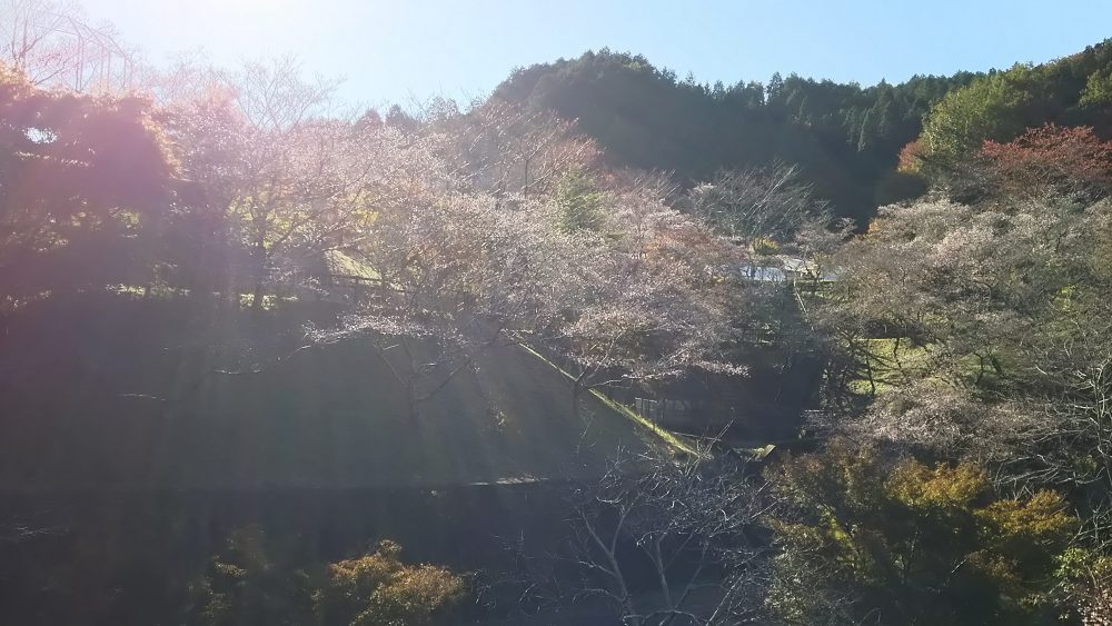 小原ふれあい公園