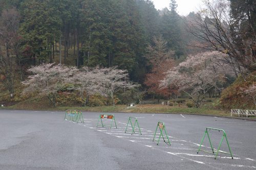 和紙のふるさと