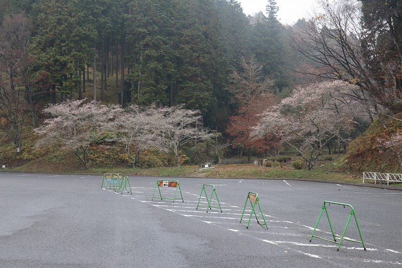 和紙のふるさと