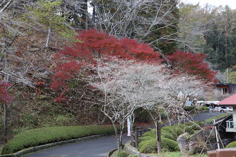 豊田市小原和紙のふるさと