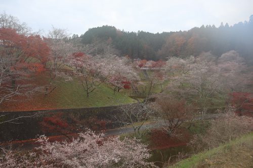 小原ふれあい公園