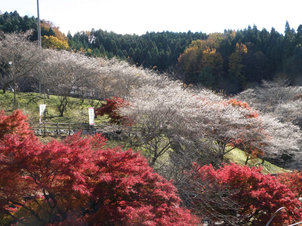 小原ふれあい公園