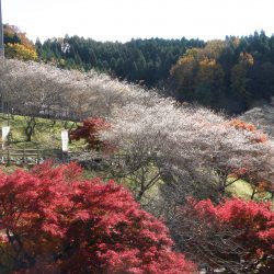 小原ふれあい公園