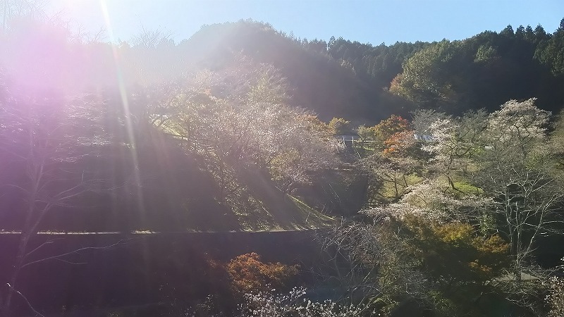 小原ふれあい公園