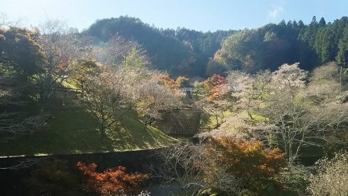 小原ふれあい公園