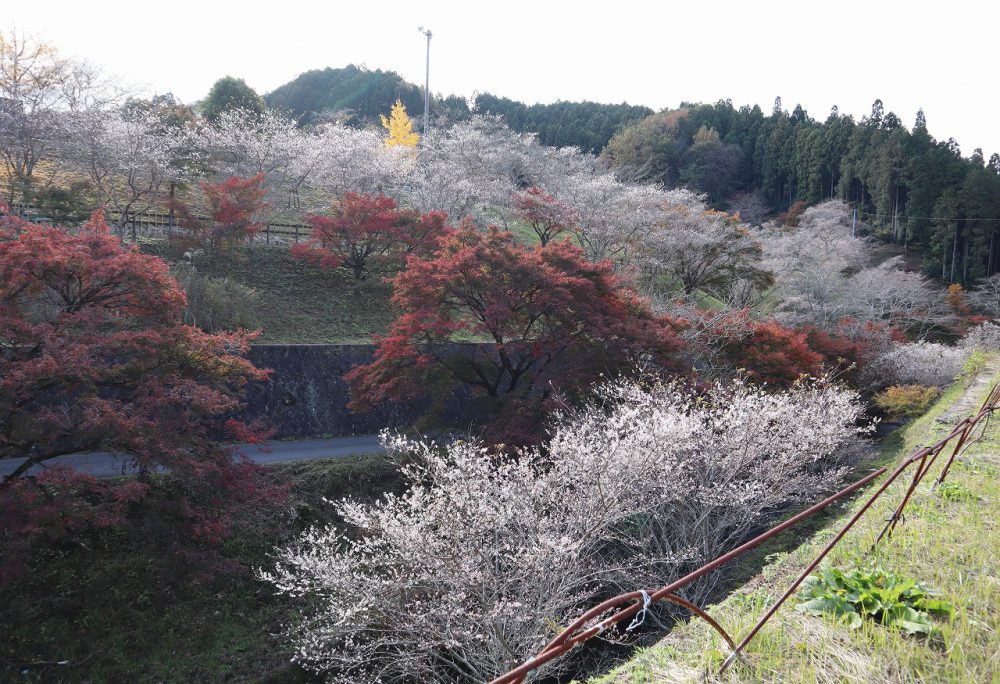 小原ふれあい公園