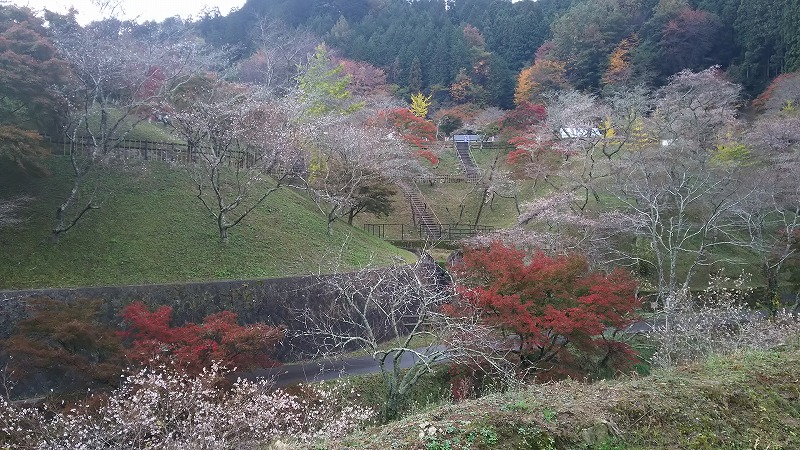 小原ふれあい公園