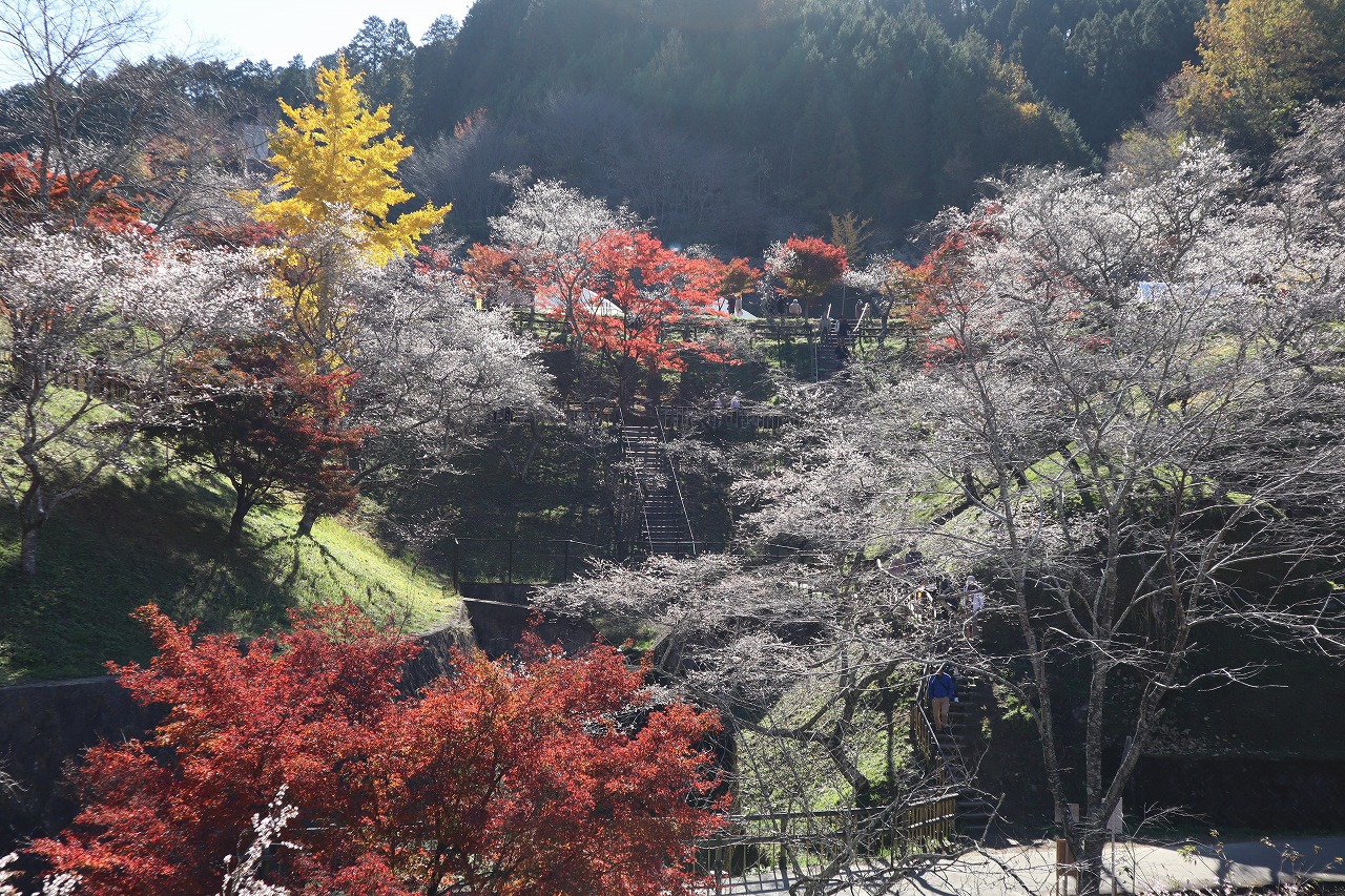 小原ふれあい公園