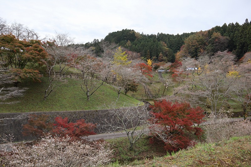 小原ふれあい公園