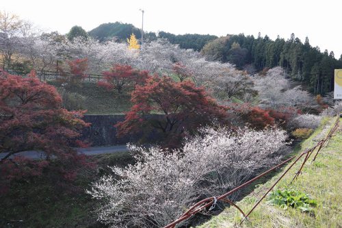 小原ふれあい公園