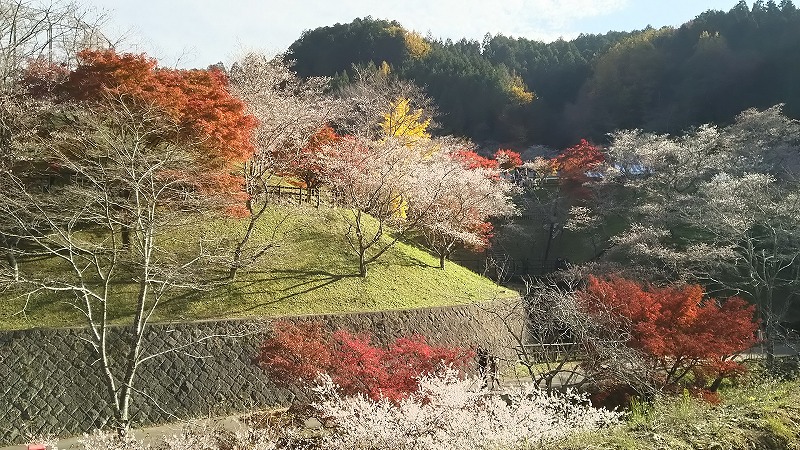 小原ふれあい公園