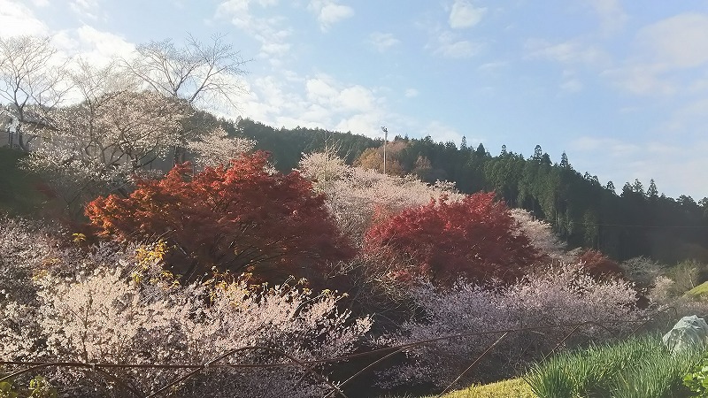 小原ふれあい公園