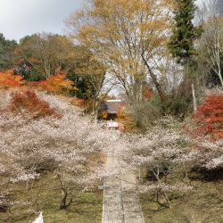 川見薬師寺