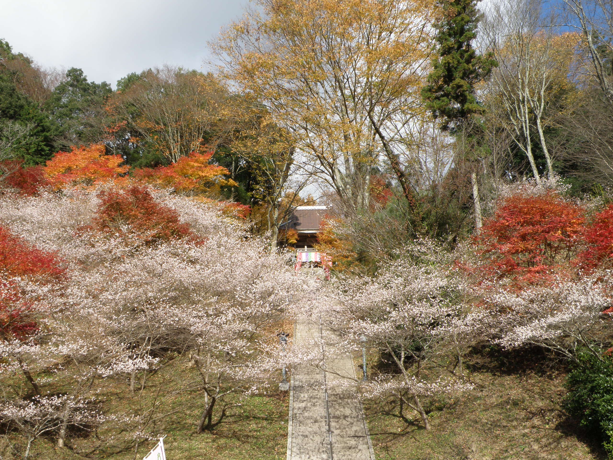 川見薬師寺