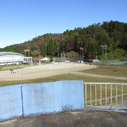 緑の公園