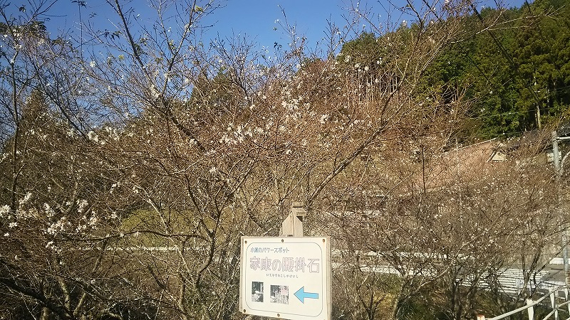 小原ふれあい公園