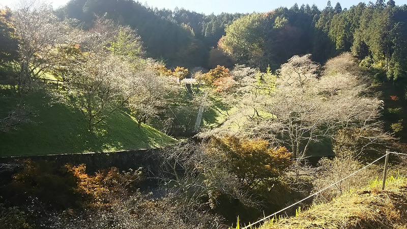 小原ふれあい公園