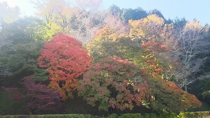 小原ふれあい公園