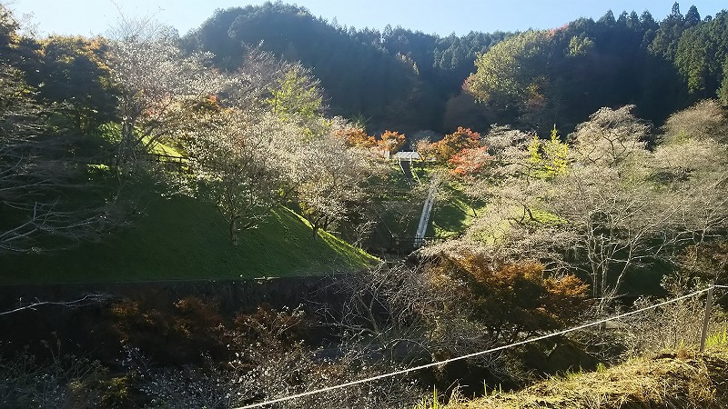 小原ふれあい公園