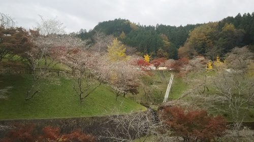 小原ふれあい公園