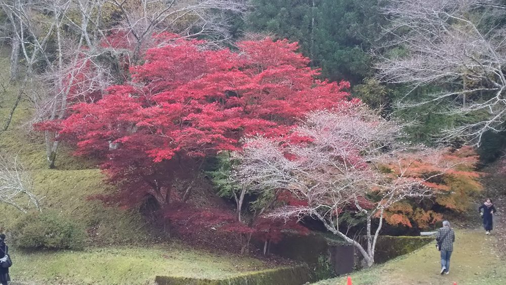 小原ふれあい公園