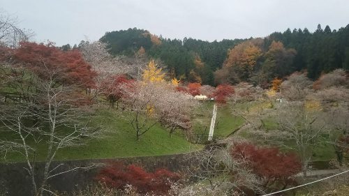 小原ふれあい公園