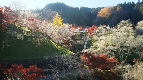 小原ふれあい公園